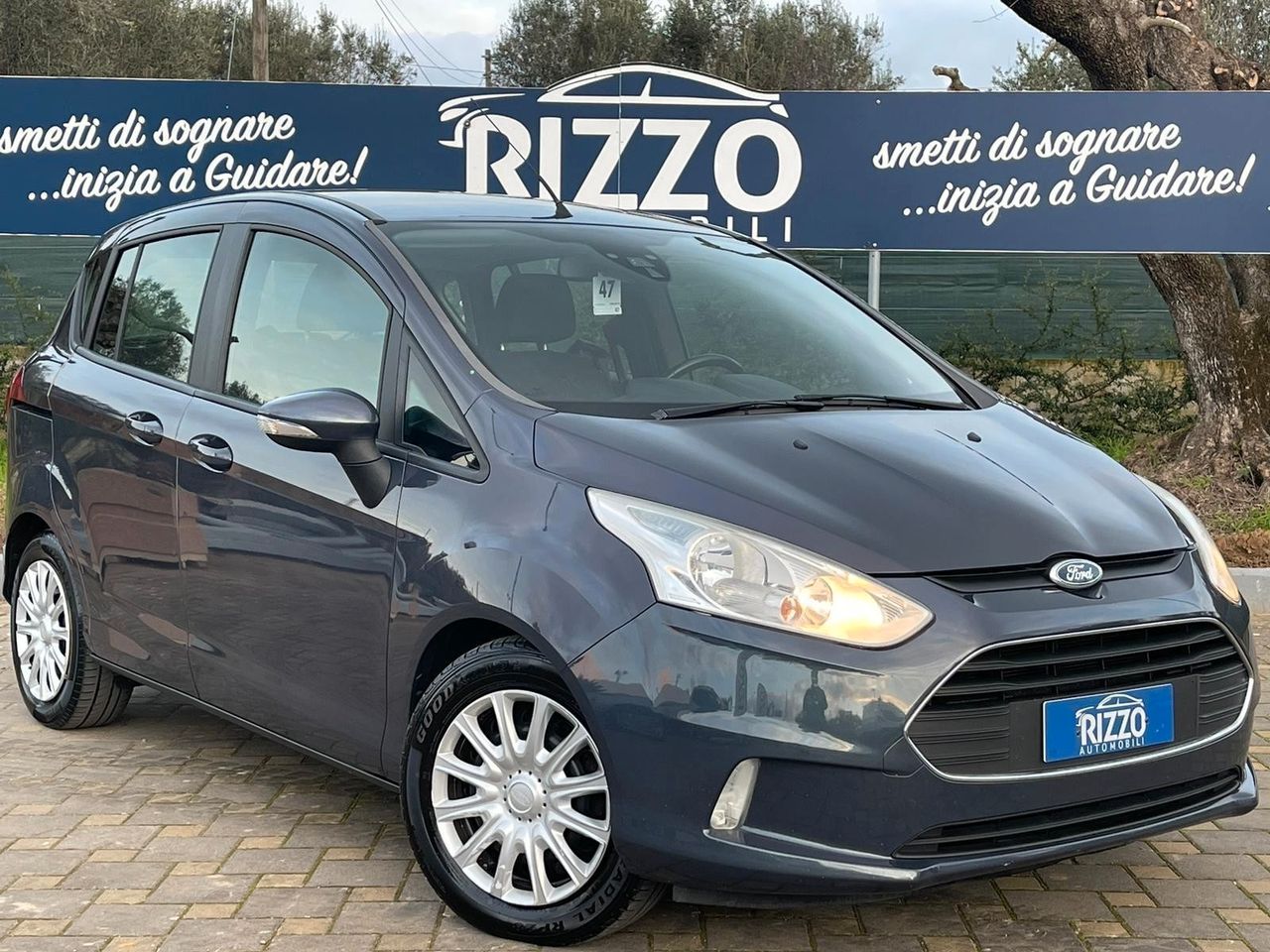 Ford B-Max 1.5 TDCi 75 CV Titanium 5 porte