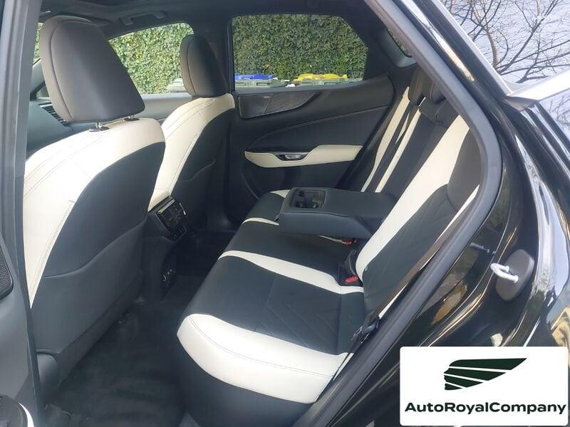 Lexus NX Hybrid Luxury 4WD IVA ESPOSTA