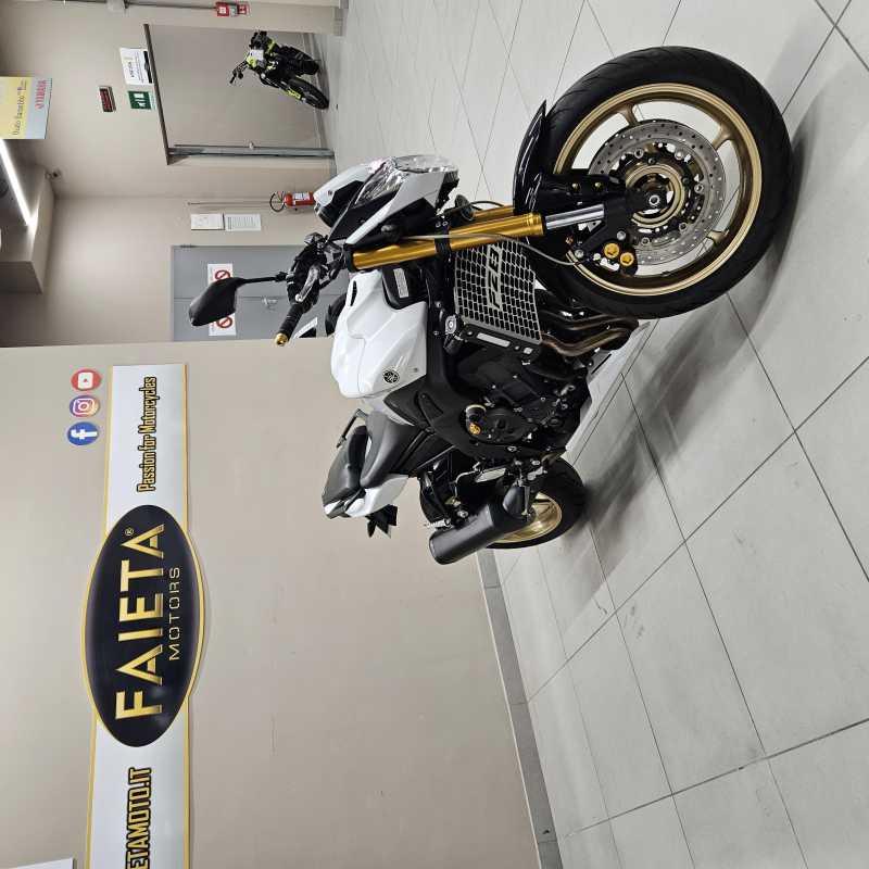 Yamaha FZ8 - 2010