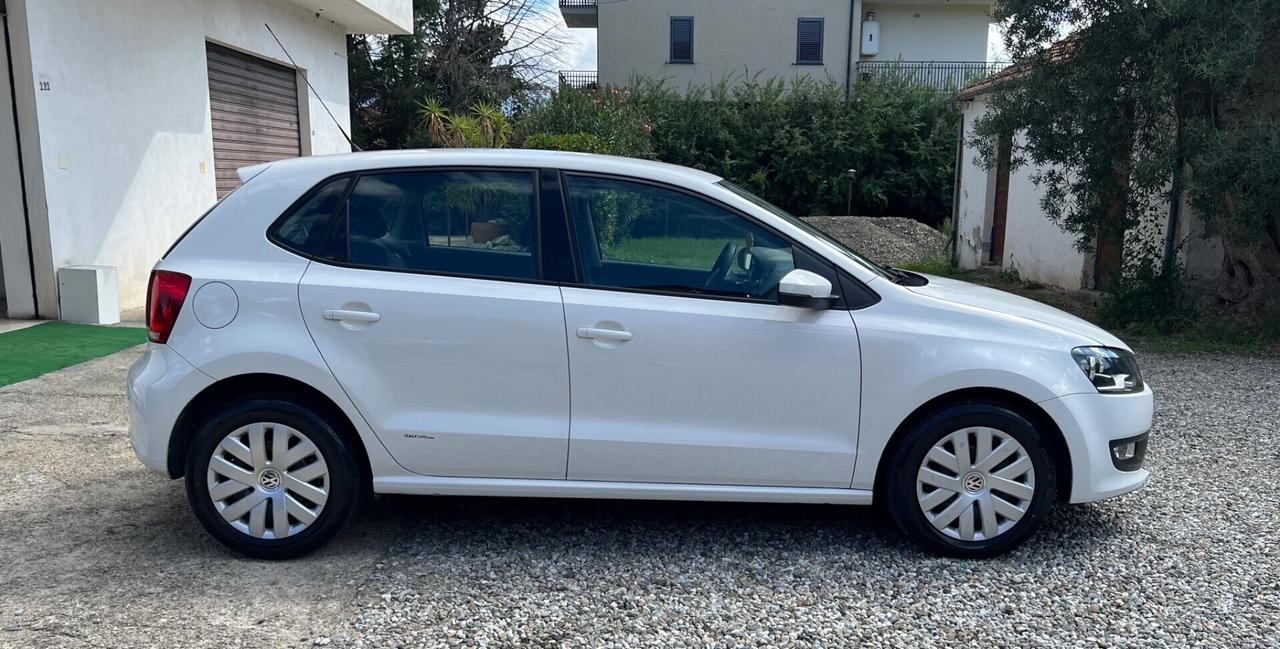 Volkswagen Polo 1.2 TDI 75 CV GARANZIA 12