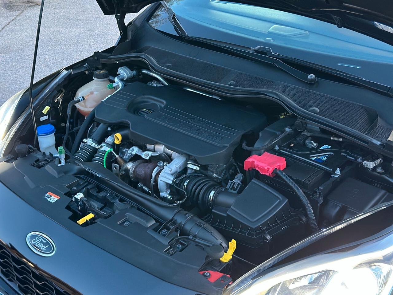 Ford Fiesta 1.5 TDCi 5 porte ST-Line