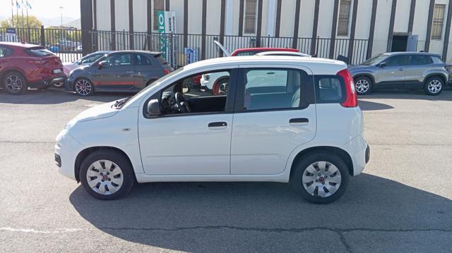 FIAT Panda *PROMO* 1.2 Pop 69CV