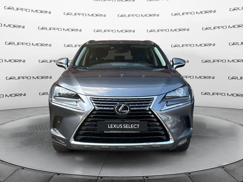 Lexus NX Hybrid Premium 4WD MY22