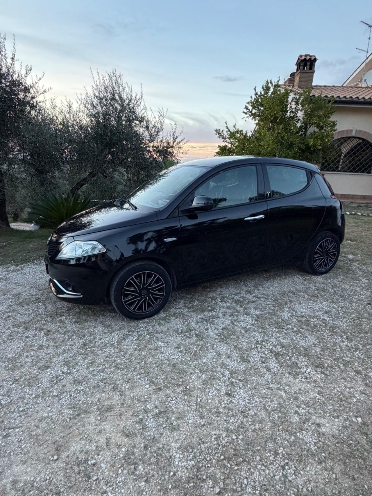 Lancia Ypsilon 1.2 69 CV 5 porte S&S Platinum