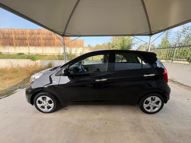 KIA Picanto 1.0 12V 5 porte Glam OK NEOPATENTATI EURO 5