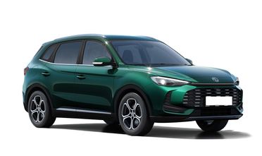 Mg ZS -. APERTI AD AGOSTO