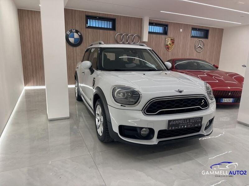 MINI Mini Countryman F60 Mini 1.5 Cooper SE Countryman ALL4 Automatica