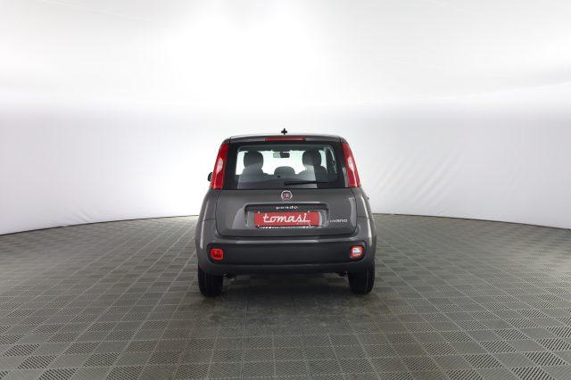 FIAT Panda Panda 1.0 FireFly 70cv S&S Hybrid E6d-Final EASY