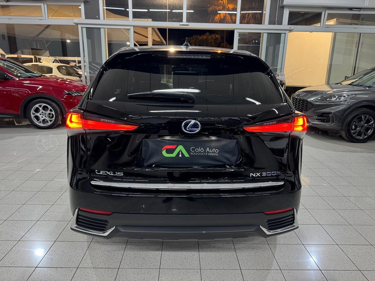 NX 300h Hybrid 4WD Luxury STRAFUL TETTO!!!!!