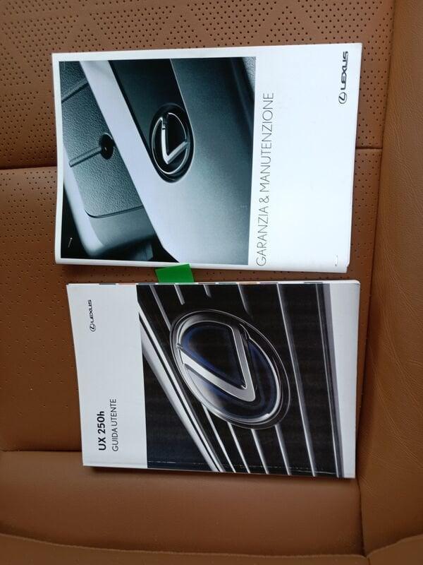 Lexus UX Hybrid Luxury 2WD