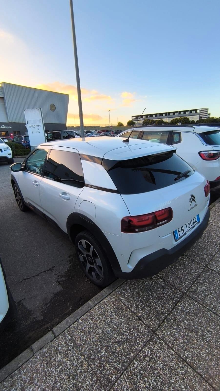 Citroen C4 Cactus BlueHDi 100 Shine