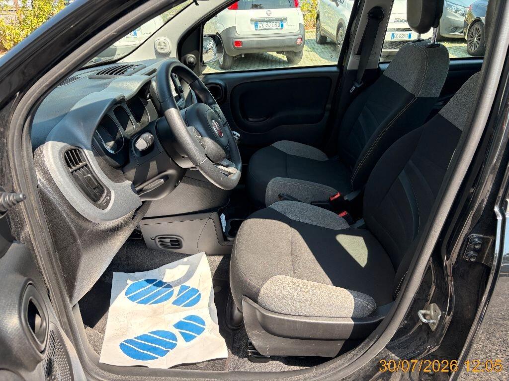 Fiat Panda 1.0 Hybrid City Life 5 posti In Arrivo