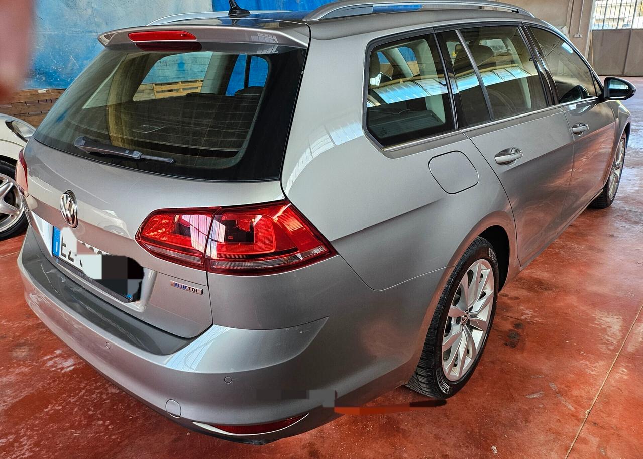 Volkswagen Golf Variant 1.6 TDI 110 CV Highline BlueMotion Tech.