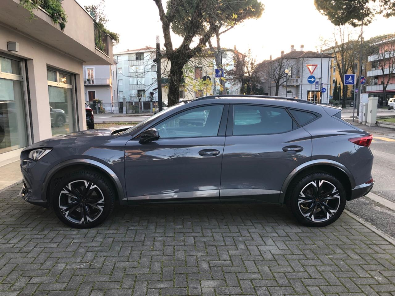 Cupra Formentor 2.0 TDI 4Drive DSG