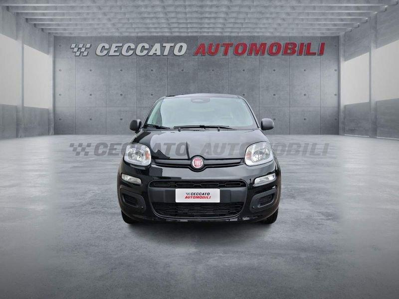 FIAT Panda Panda 1.0 firefly hybrid s&s 70cv