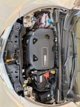 Lancia Ypsilon 0.9 TwinAir 85 CV 5 porte S&S DFN Gold