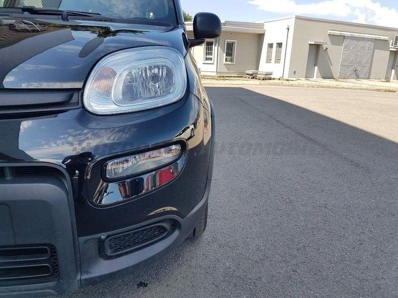 FIAT Panda Panda 1.0 firefly hybrid s&s 70cv 5p.ti