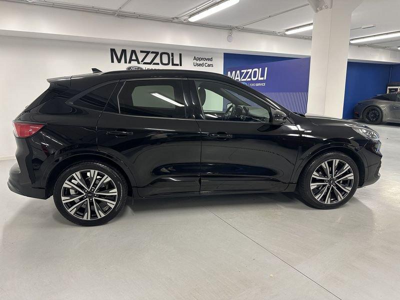 Ford Kuga 1.5 EcoBlue 120 CV aut. 2WD ST-Line X