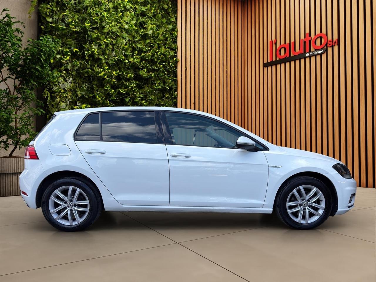 Volkswagen Golf 1.4 TGI 5p. Highline BlueMotion