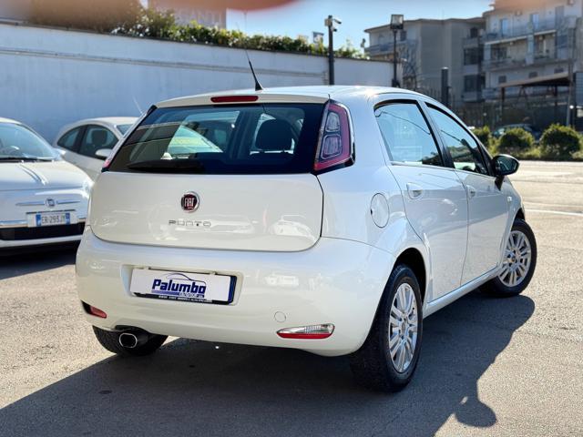 FIAT Punto 1.3 MJT II 75 CV 5 porte Lounge OK NEOPATENTATI