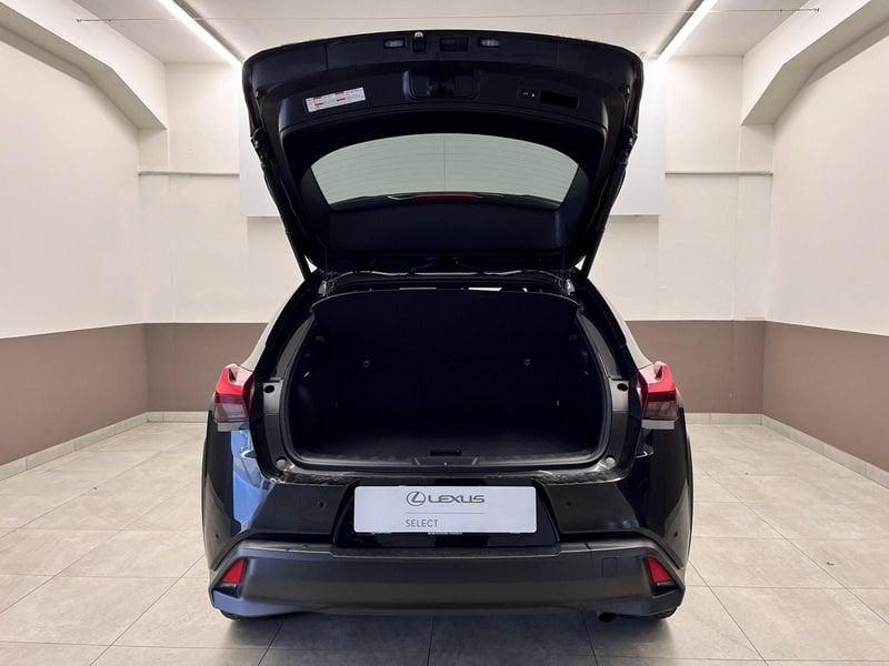 Lexus UX UX Hybrid 4WD Midnight