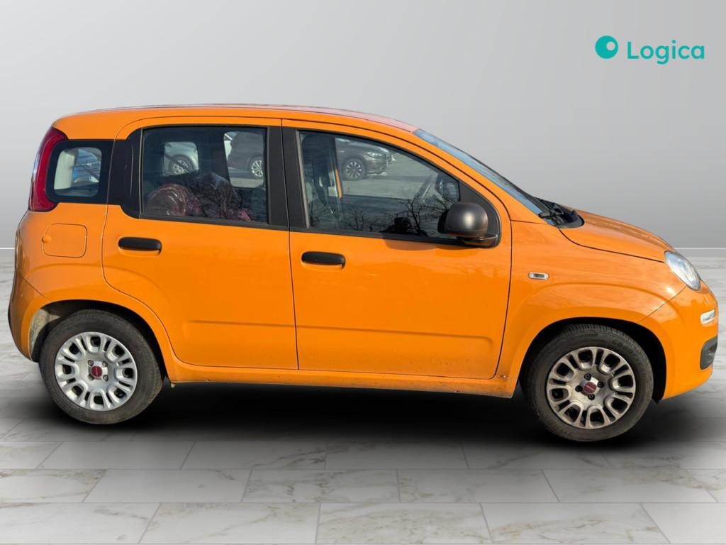 FIAT Panda III 2021 - Panda 1.0 firefly hybrid s&s 70cv