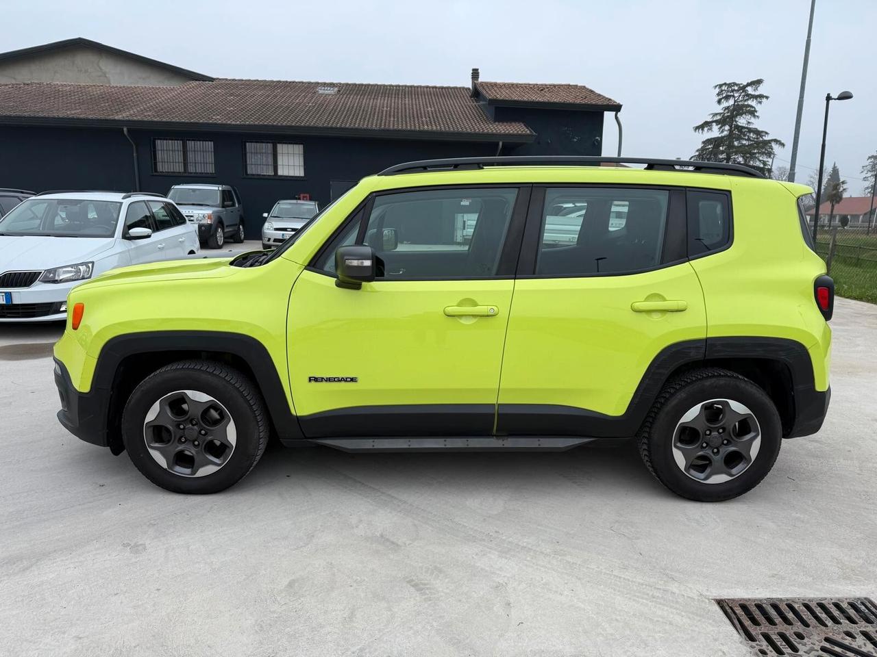 Jeep Renegade 1.6 Mjt 120 CV Longitude