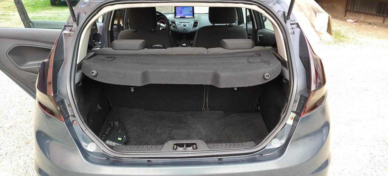 Ford Fiesta 1.4 5p. GPL Titanium