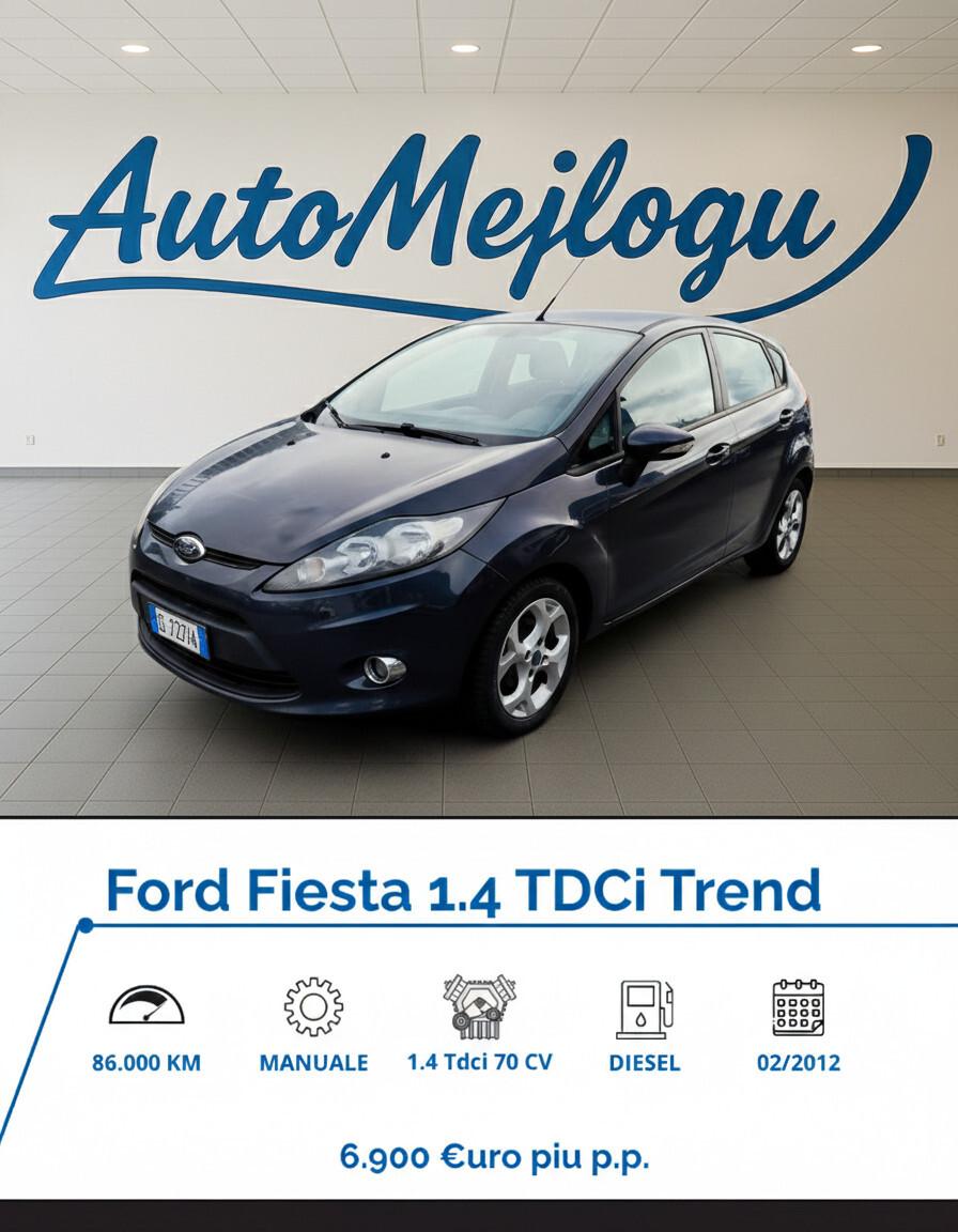 Ford Fiesta Ikon 1.4 TDCi 70CV 5 porte
