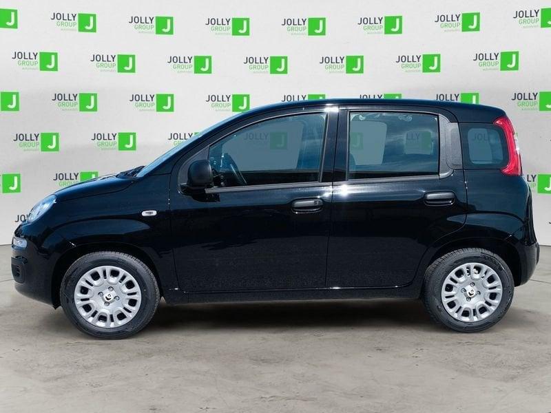 FIAT Pandina 1.0 65cv Hybrid Icon