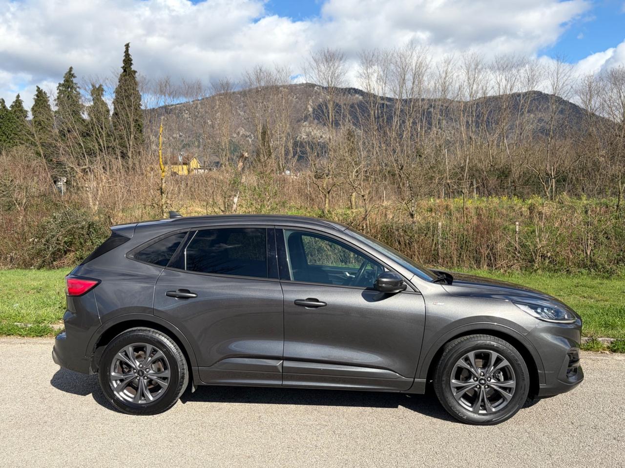 Ford Kuga 1.5 EcoBlue 120 CV aut. 2WD ST-Line X