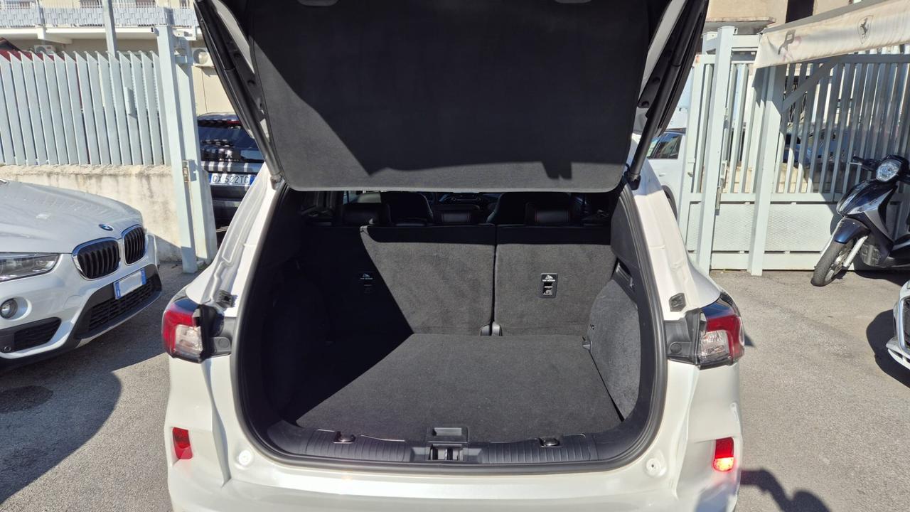 Ford Kuga 1.5 EcoBlue 120 CV aut. 2WD ST-Line X