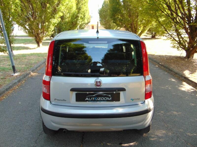 FIAT Panda 2ª serie Panda 1.2 Dynamic Natural ...
