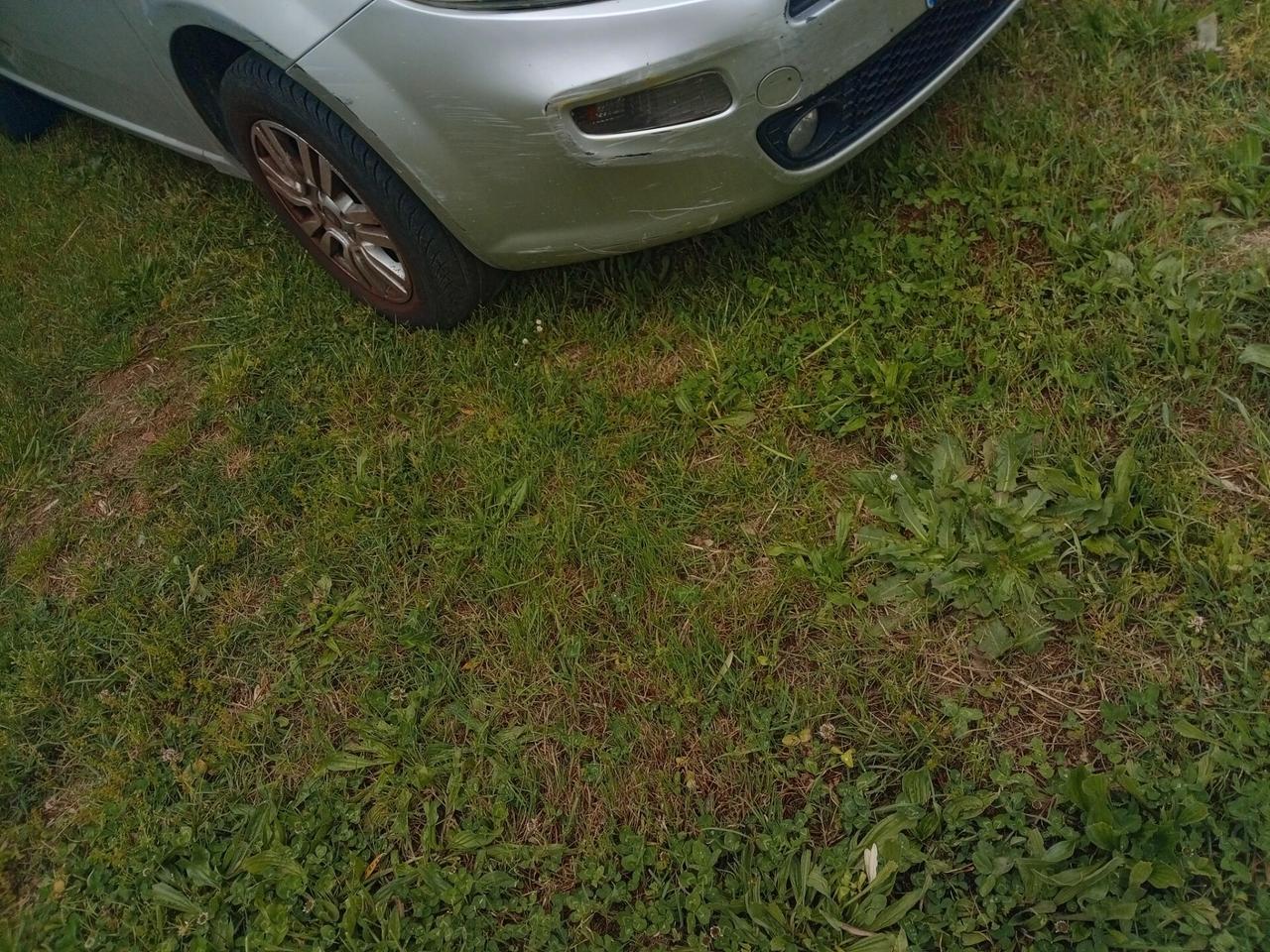 Fiat Punto 1.4 8V 5 porte Natural Power Lounge