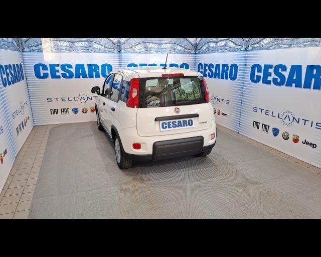 FIAT New Panda 1.0 firefly hybrid s&s 70cv 5p.ti
