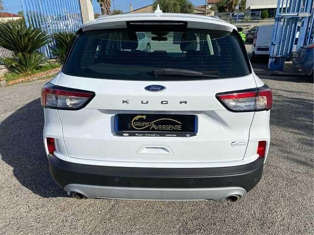 Ford Kuga 1.5 EcoBlue 120 CV 2WD Connect