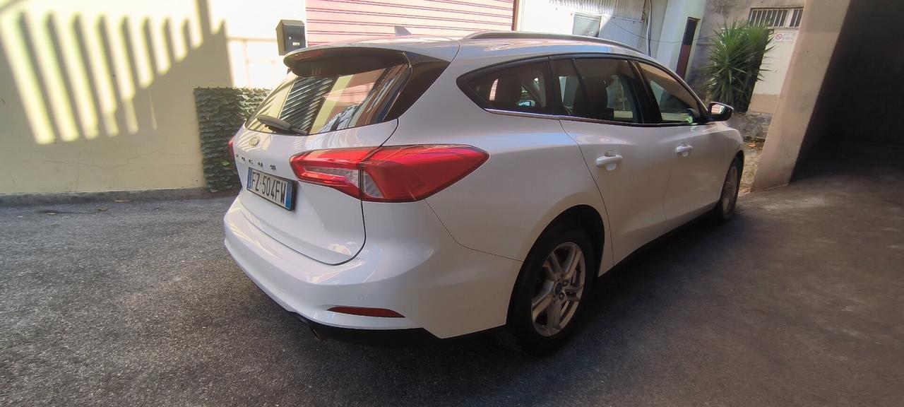 Ford Focus 1.5 EcoBlue 120 CV automatico SW Business Co-Pilot