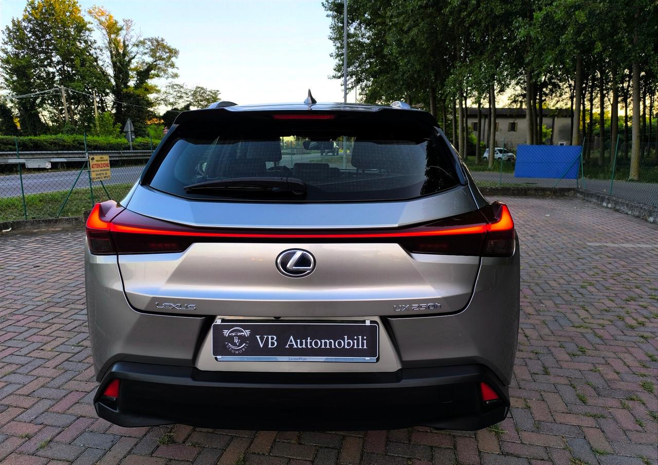 Lexus UX Hybrid Business