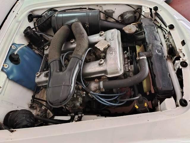 Alfa Romeo Giulia spider 1600