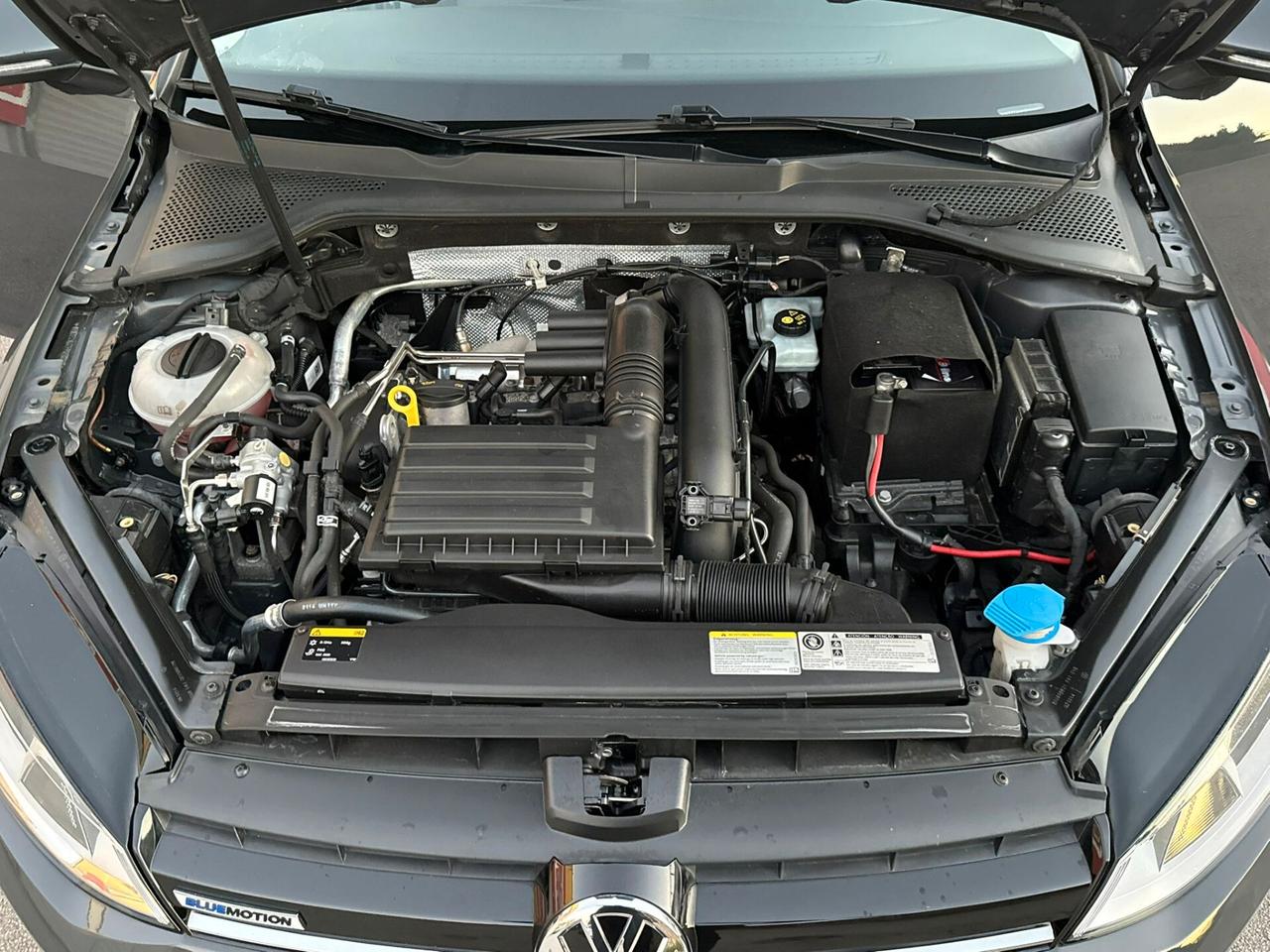 Volkswagen Golf 1.4 110cv BlueMotion - 2015