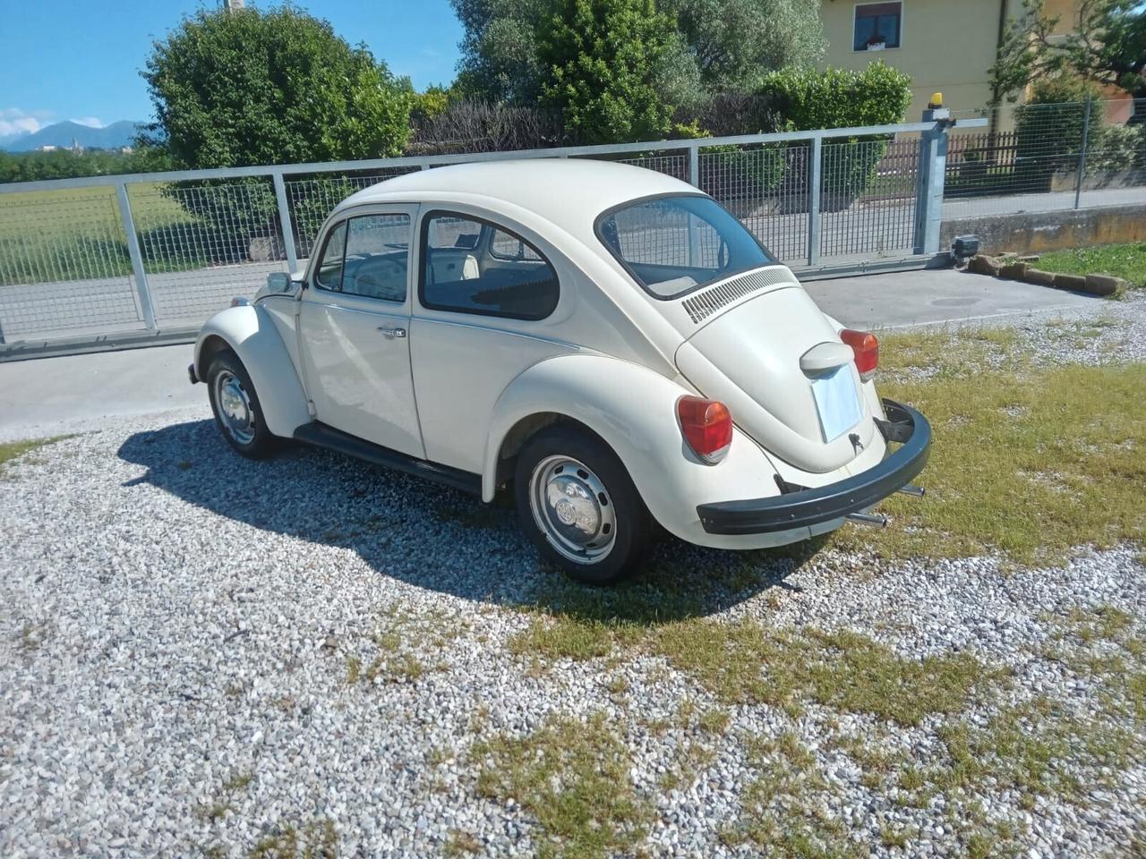 Volkswagen Maggiolino