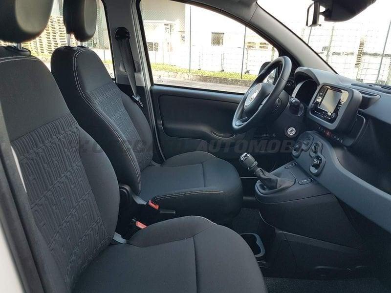 FIAT Panda Panda 1.0 70cv Hybrid Icon