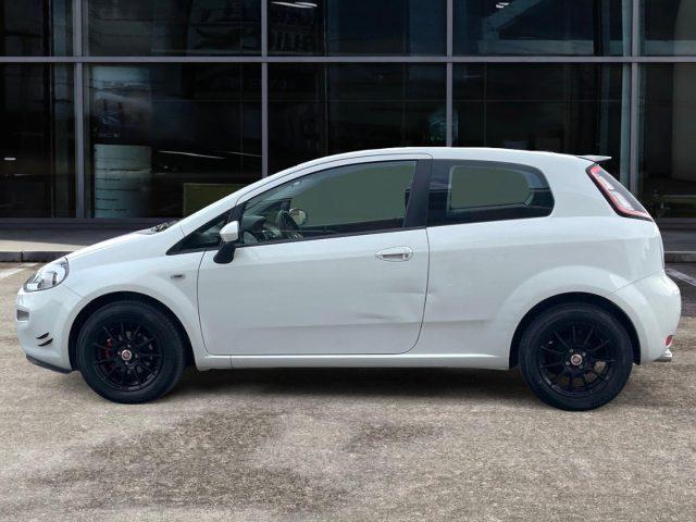 FIAT Punto 1.2 BENZ 69 CV 8V 3 porte Lounge