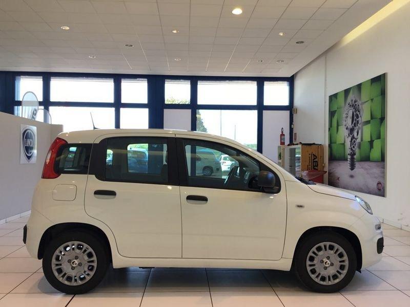 FIAT Panda 1.0 FireFly 70cv S&S Hybrid PACK CITY