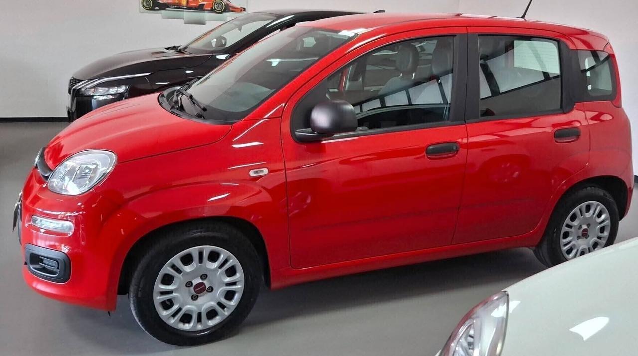 Fiat Panda 1.0 FireFly S&S Hybrid 5posti