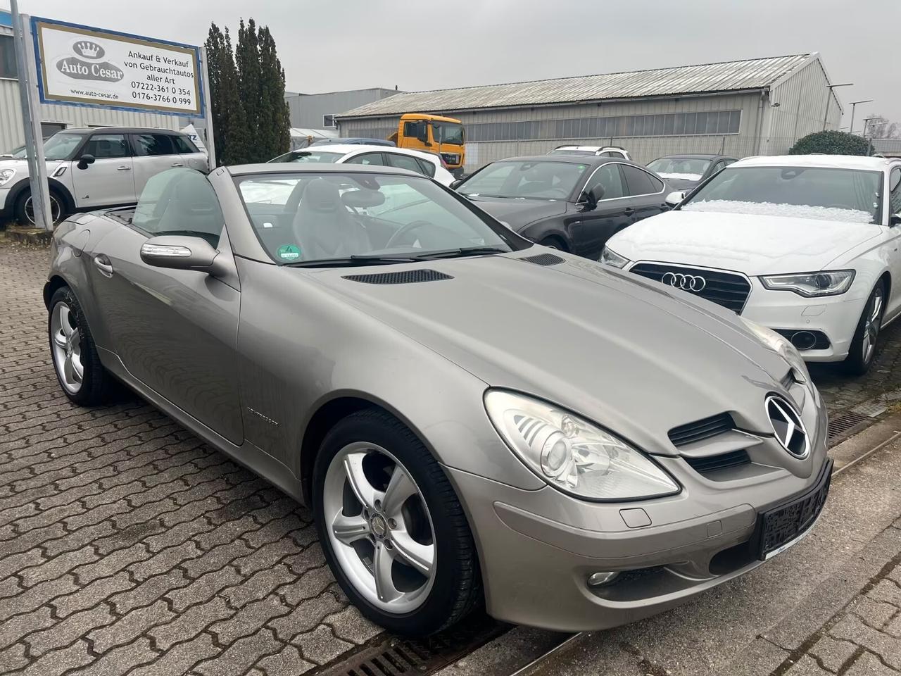 Mercedes-benz SLK 200 Kompressor Pelle-Xeno