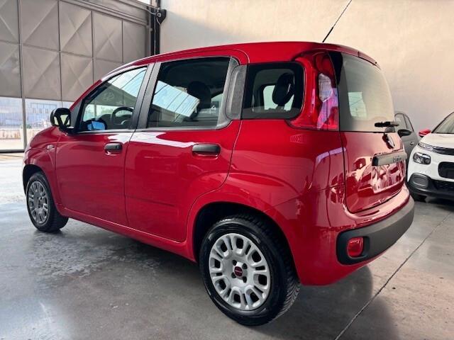 Fiat Panda 1.2 1.2 BENZINA, CLIMA,PERMUTABILE