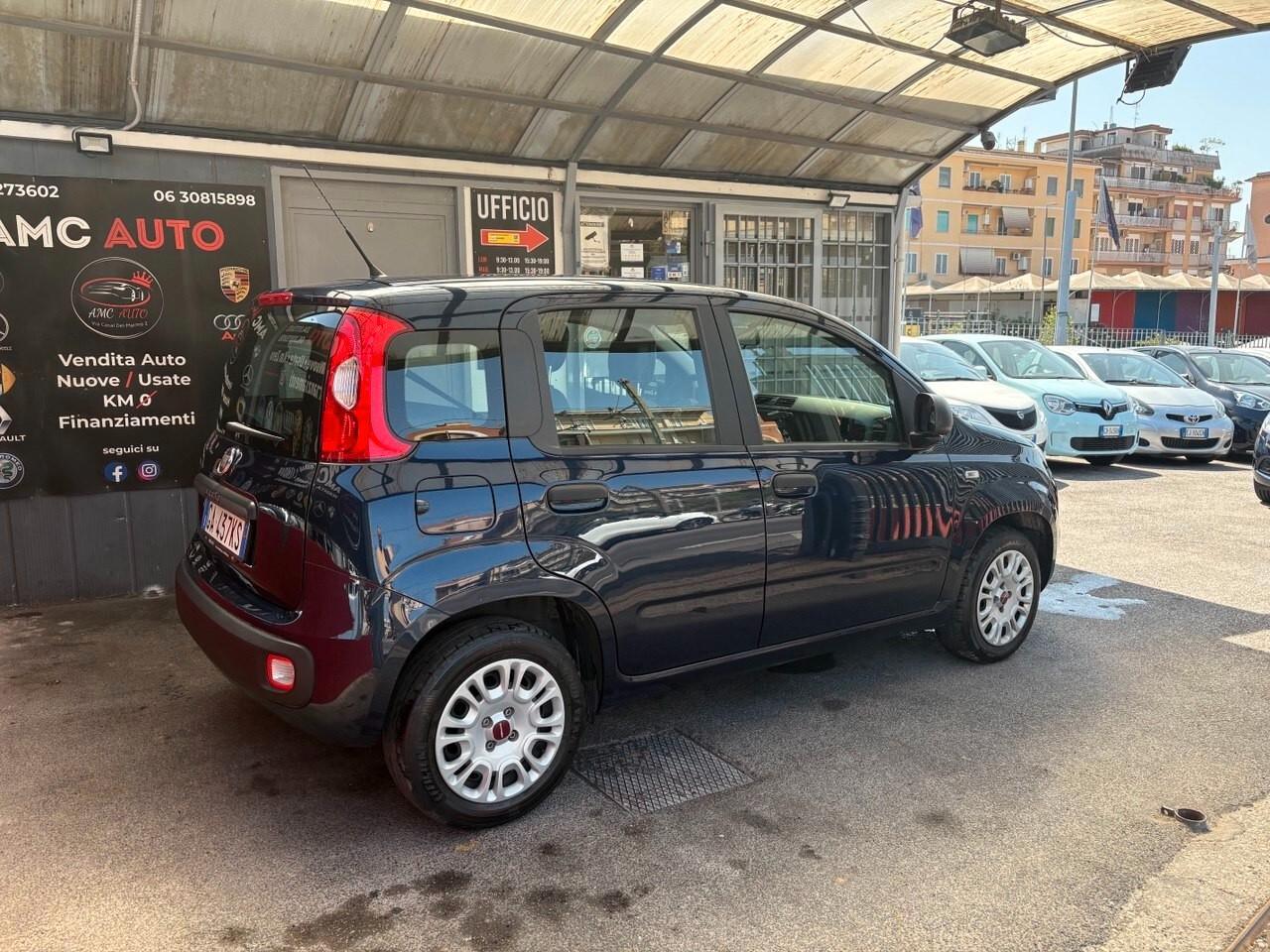 Fiat Panda 1.2 Easy NEOPATENTATI - UFFICIALE ITALIA - KM CERTIFICATI