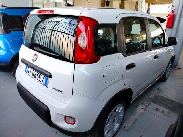 FIAT Panda 1.0 FireFly S&S Hybrid km 2.000