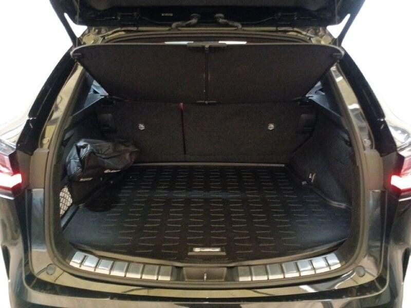 Lexus NX Plug-in F Sport 4WD